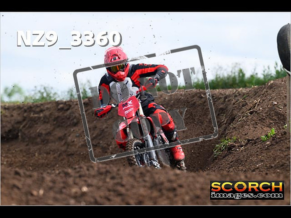 Experts-094
