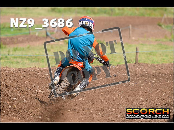 Experts-131