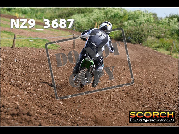 Experts-132