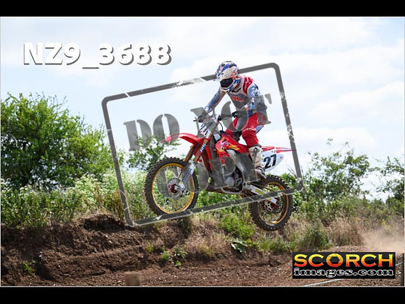 Experts-133