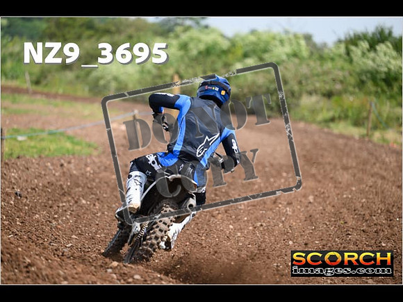 Experts-139