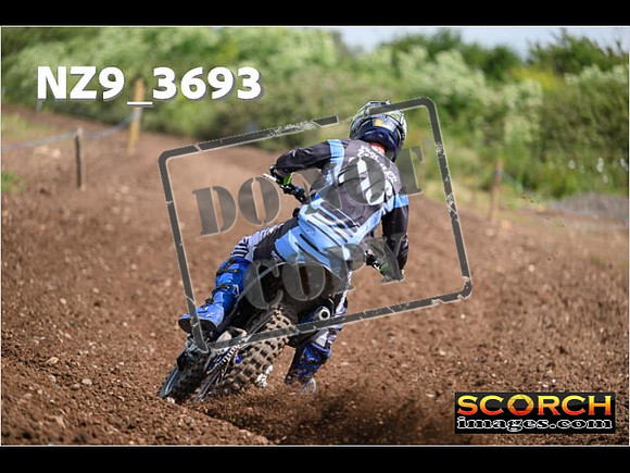 Experts-137