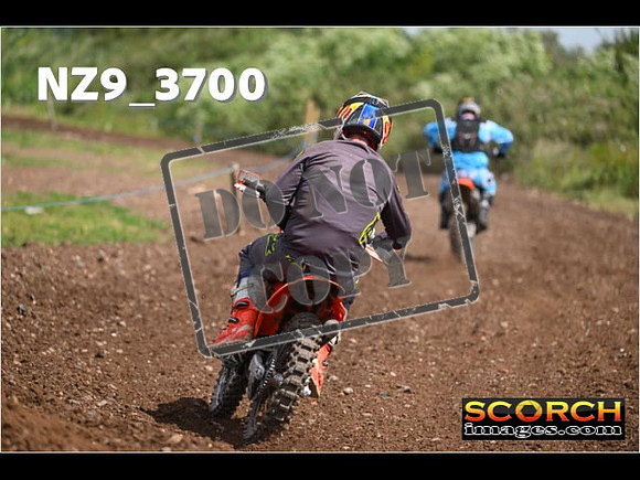 Experts-142