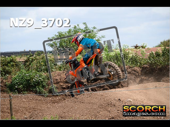 Experts-144