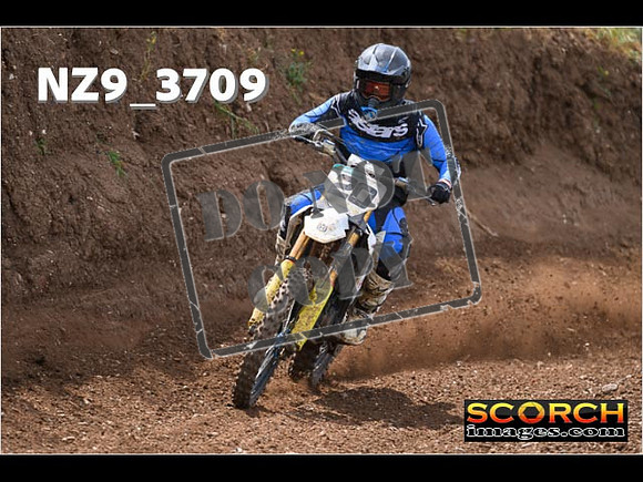 Experts-151