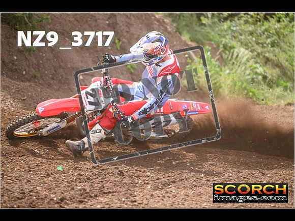Experts-159