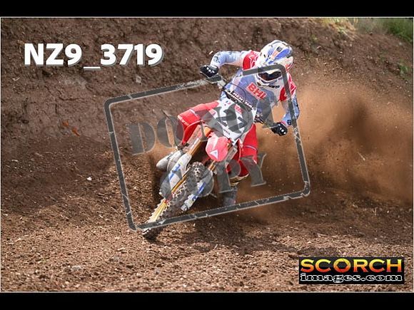 Experts-161