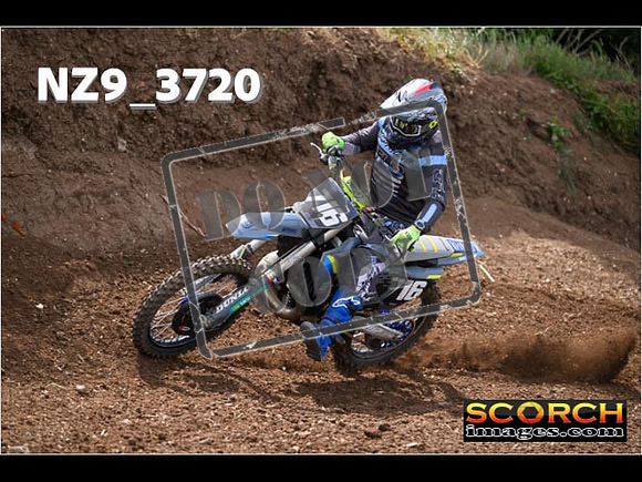 Experts-162