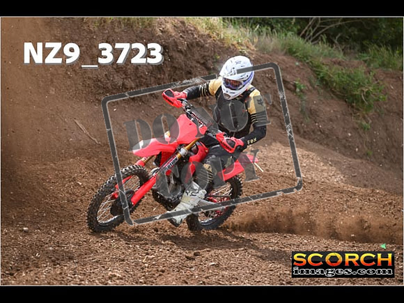 Experts-165