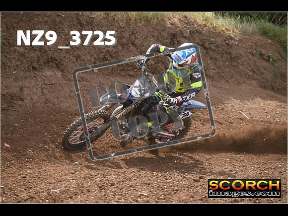 Experts-167