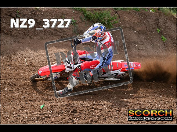 Experts-169