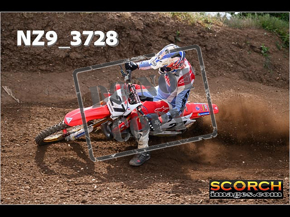 Experts-170
