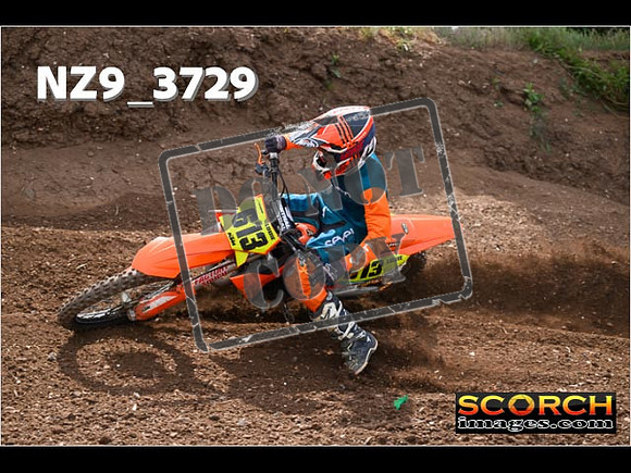 Experts-171