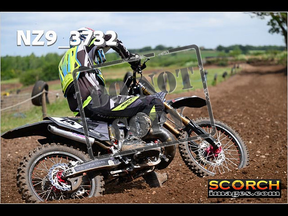 Experts-174