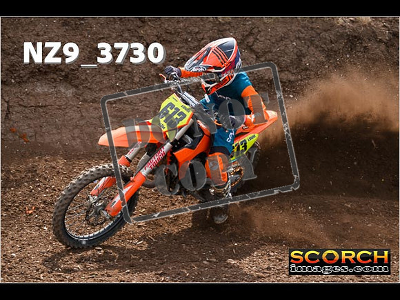 Experts-172