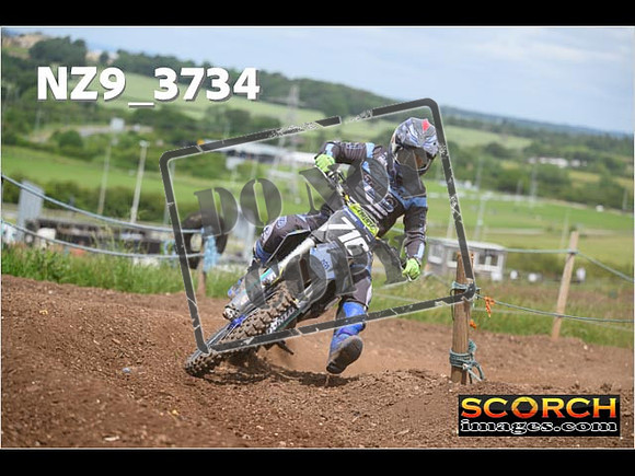 Experts-176