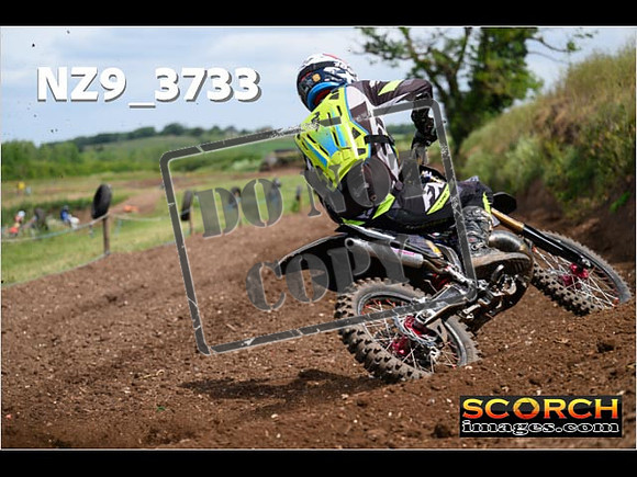 Experts-175