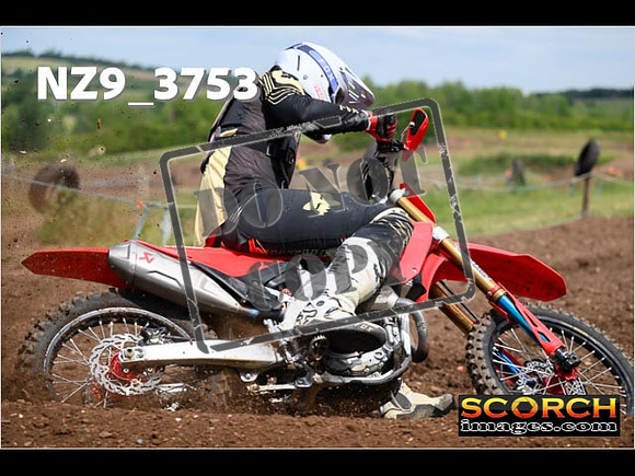 Experts-195