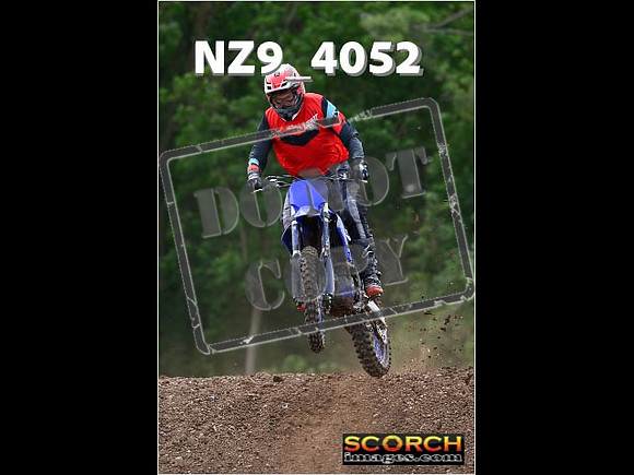 Experts-203