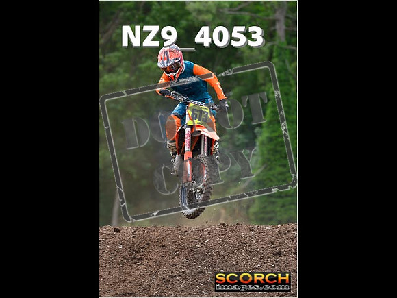 Experts-204