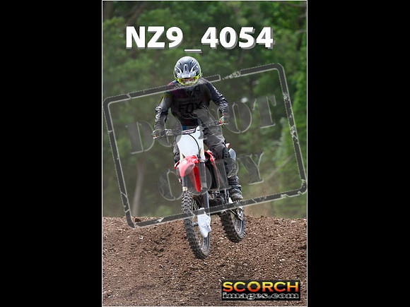 Experts-205