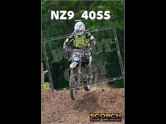Experts-206