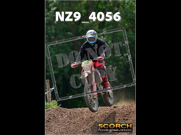 Experts-207