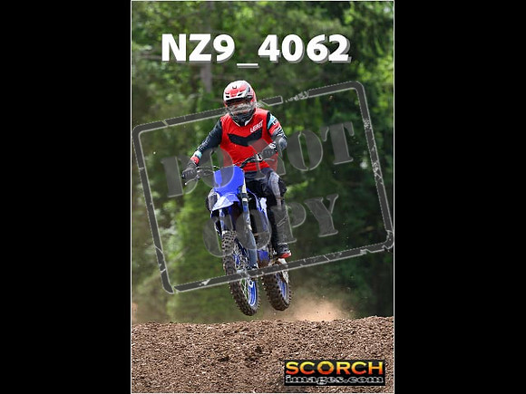 Experts-213