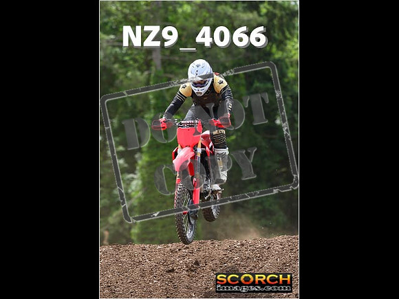 Experts-217