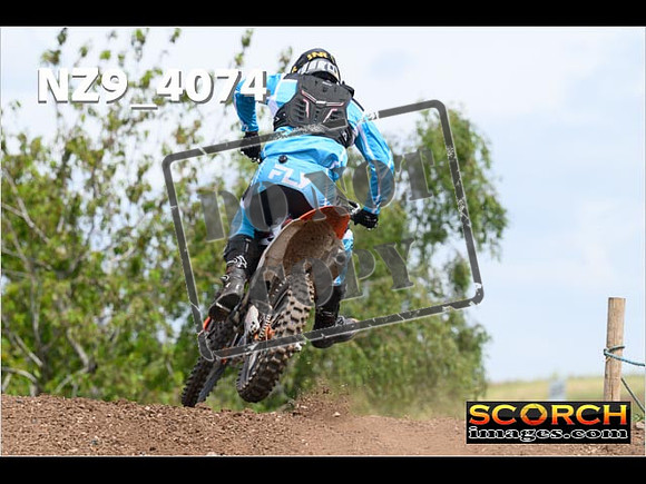 Experts-223