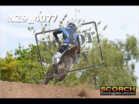 Experts-226