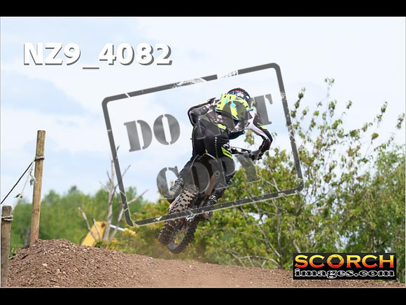 Experts-231