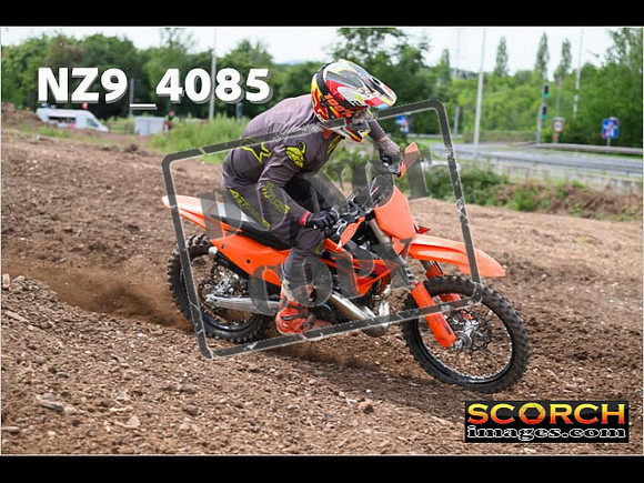 Experts-233
