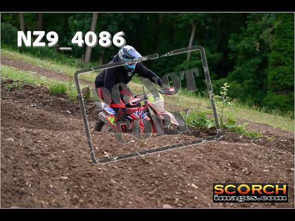 Experts-234