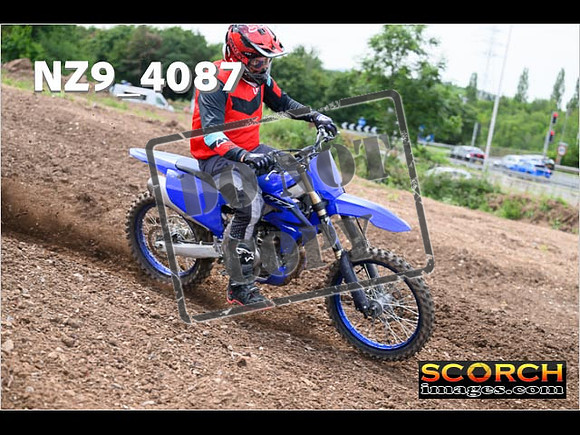 Experts-235