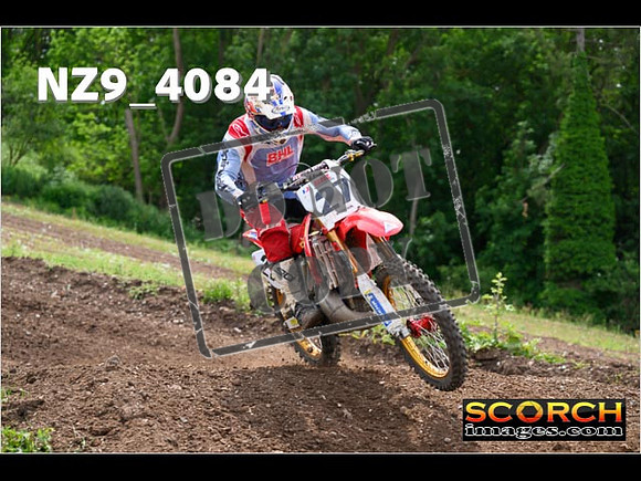 Experts-232