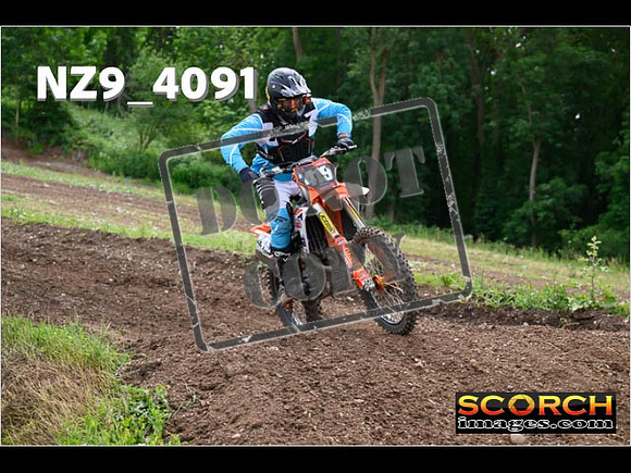 Experts-239
