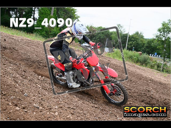 Experts-238