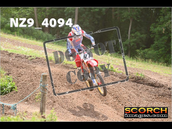 Experts-242