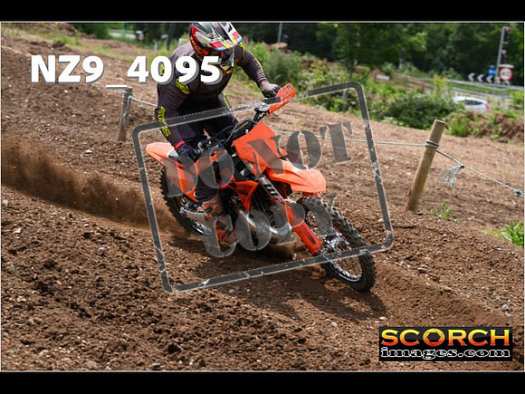 Experts-243