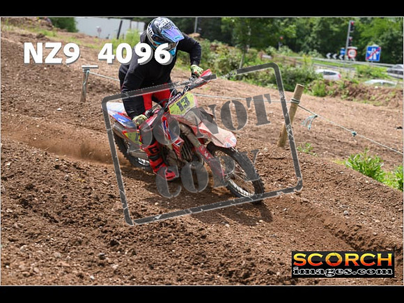 Experts-244