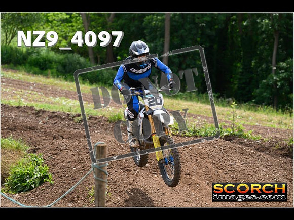 Experts-245