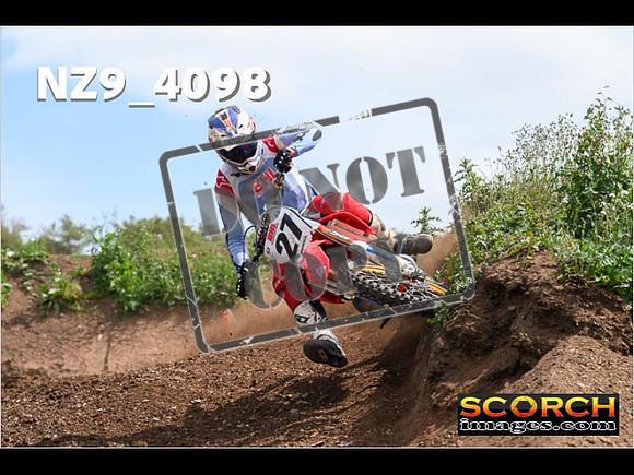 Experts-246