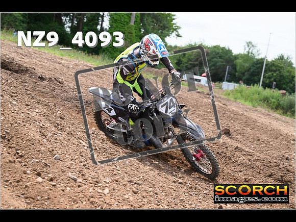 Experts-241