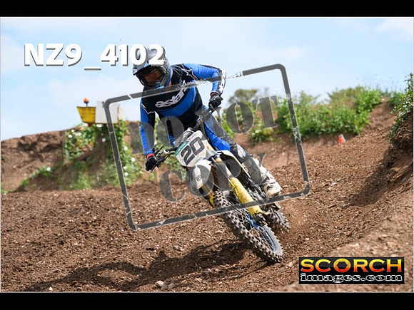 Experts-250