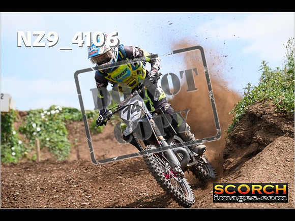 Experts-253