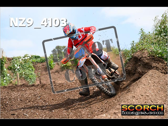 Experts-251