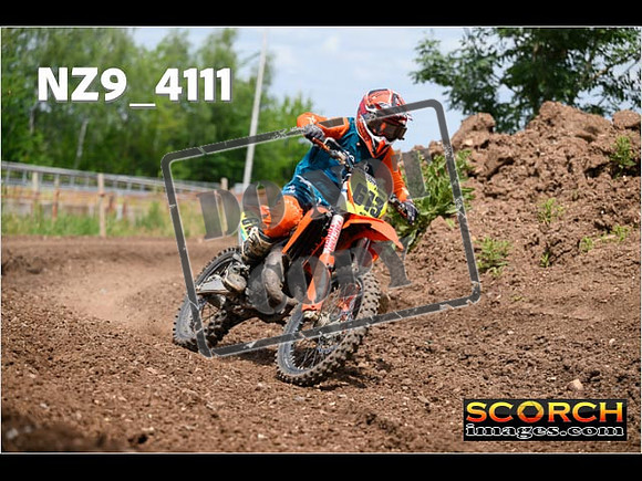 Experts-258
