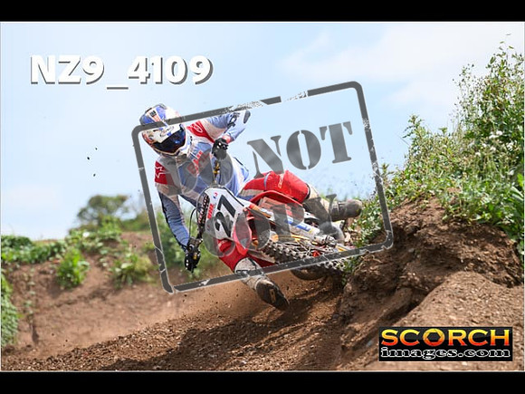 Experts-256