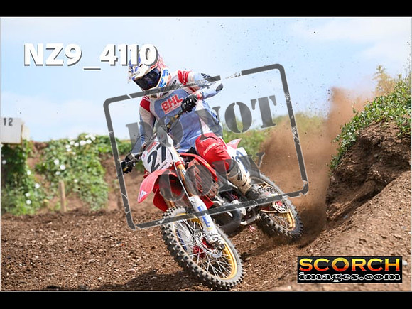 Experts-257